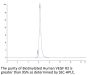 Biotinylated Human VEGF R2/KDR Protein (Primary Amine Labeling) (VGF-HM3R2B)