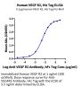 Human VEGF R2/KDR Protein (VGF-HM4R2)
