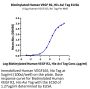 Biotinylated Human VEGF R2/KDR Protein (VGF-HM4R2B)