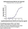Biotinylated Human VEGF R3/FLT4 Protein (VGF-HM4R3B)