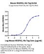 Mouse VEGF R2/KDR Protein (VGF-MM1R2)