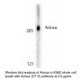 Anti-Human Acinus (C-Terminus 2) - 0.1 mg