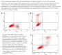 Annexin V - FITC Apoptosis Detection Kit