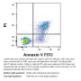 Annexin V - FITC Apoptosis Detection Kit