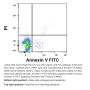Annexin V - FITC Apoptosis Detection Kit