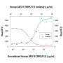 Anti-Human BAFF R - 100 µg