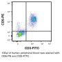 Anti-Human CD5 (Clone UCHT-2) - PE - 100 µg