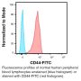 Anti-Human CD44 (Clone E1/2) - FITC - 100 µg