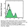 Anti-Mouse CD4 [GK1.5] – Purified - 50 µg