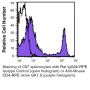 Anti-Mouse CD4 [GK1.5] – PE - 200 µg