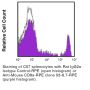 Anti-Mouse CD8a (Ly 2) [53-6.7] (All Alleles) – PE - 200 µg