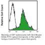 Anti-Mouse/Human CD44 (Clone IM7) - FITC - 50 µg