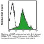 Anti-Mouse/Human CD44 (Clone IM7) - PE - 50 µg