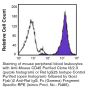Anti-Mouse CD45 (LCA) (Clone I3/2.3) - Purified - 50 µg
