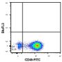 Anti-Mouse CD45 (LCA) (Clone I3/2.3) - FITC - 500 µg