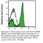 Anti-Mouse/Human CD45R (B220) (Clone RA3-6B2) - Purified - 50 µg