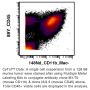 Anti-Mouse CD45 (Clone I3/2.3) - Purified in vivo GOLD™ Functional Grade