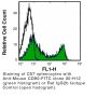 Anti-Mouse CD90.2 (Thy 1.2) - FITC - 100 µg