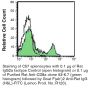 Anti-Mouse CD8a (Ly 2) - Purified in vivo GOLD™ Functional Grade
