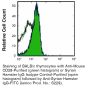 Anti-Mouse CD28 [Clone 37.51] — Purified <i>in vivo </i>GOLD™ Functional Grade - 100 mg