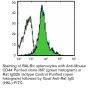 Anti-Mouse/Human CD44 Antibody (Clone IM7) – Purified in vivo GOLD™ Functional Grade