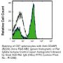 Anti-Mouse/Human CD45R (B220) (Clone RA3-6B2) - Purified in vivo GOLD™ Functional Grade
