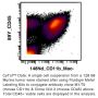 Anti-Mouse CD11b - Purified in vivo PLATINUM™ Functional Grade