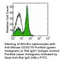 Anti-Mouse CD32/CD16 (Clone 2.4G2) - Purified in vivo PLATINUM™ Functional Grade