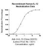 Anti-Human IL-12 (Clone 24910) - 100 µg