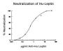 Anti-Human Leptin (Clone 44802) - 25 µg