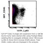 Anti-Mouse Ly6G Antibody - Purified in vivo GOLD™ Functional Grade