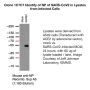 Anti-SARS-CoV-2 Nucleocapsid (N) - Purified No Carrier Protein