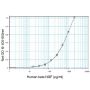 Human β-NGF ELISA Development Kit