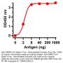 Anti-SARS-CoV Spike (17aa - Intermediate Domain) - 0.1 mg