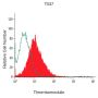 Anti-Human Thrombomodulin (CD141) - Monoclonal Antibody - 25 µg