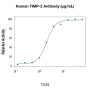 Anti-Human TIMP-2 - 25 µg