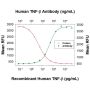 Anti-Human TNF-β [Clone 5802] - 25 µg