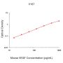 Mouse VEGF ELISA Development Kit