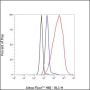 Anti-Histone H3 Rabbit mAb