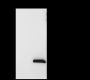 Anti-Histone H3.3 (Mutated K36M) Rabbit pAb