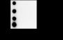 Anti-Acetyl-Histone H3 (Lys23) Rabbit mAb
