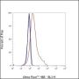 Anti-Acetyllysine Rabbit pAb (BSA and Azide Free)