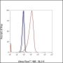 Anti-Acetyllysine Rabbit pAb (BSA and Azide Free)