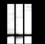 Anti-L-Lactyl-Histone H3 (Lys18) Rabbit mAb