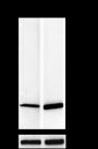 Anti-L-Lactyl-Histone H4 (Lys5) Rabbit pAb