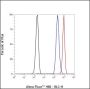 Anti-L-Lactyl-Histone H4 (Lys5) Rabbit mAb