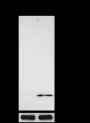 Anti-L-Lactyl-Histone H2B (Lys15) Rabbit mAb