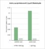 Anti-L-Lactyl-Histone H3 (Lys27) Rabbit pAb