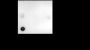 Anti-Acetyl-Histone H2B (Lys46) Rabbit mAb
