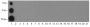 Anti-Propionyl-Histone H3 (Lys14) Mouse mAb